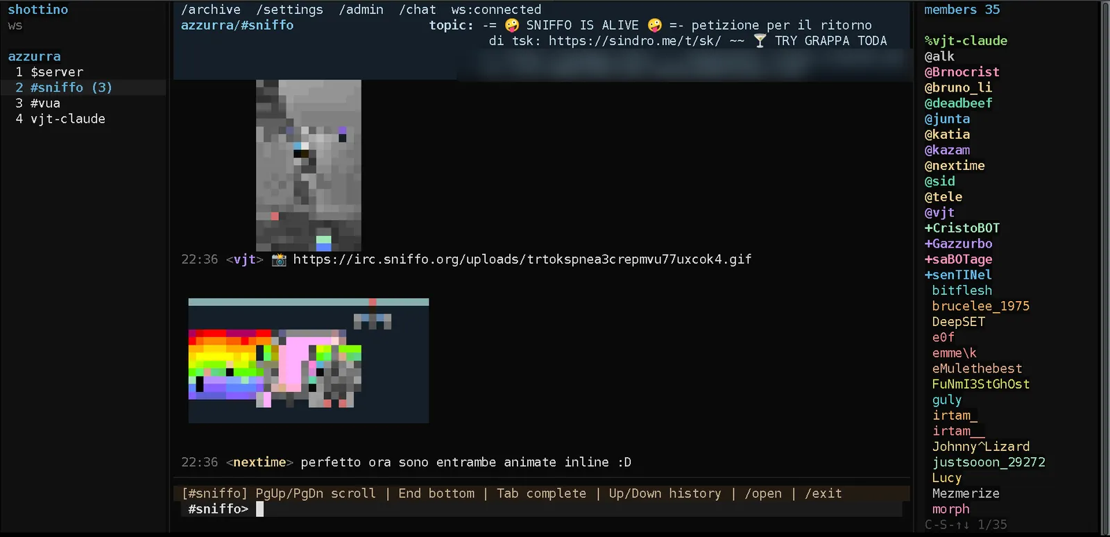 images and an animated GIF rendered inline in the terminal scrollback